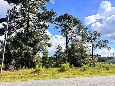 415 W Homeway Loop Citrus Springs FL 34434 O6381408 image2