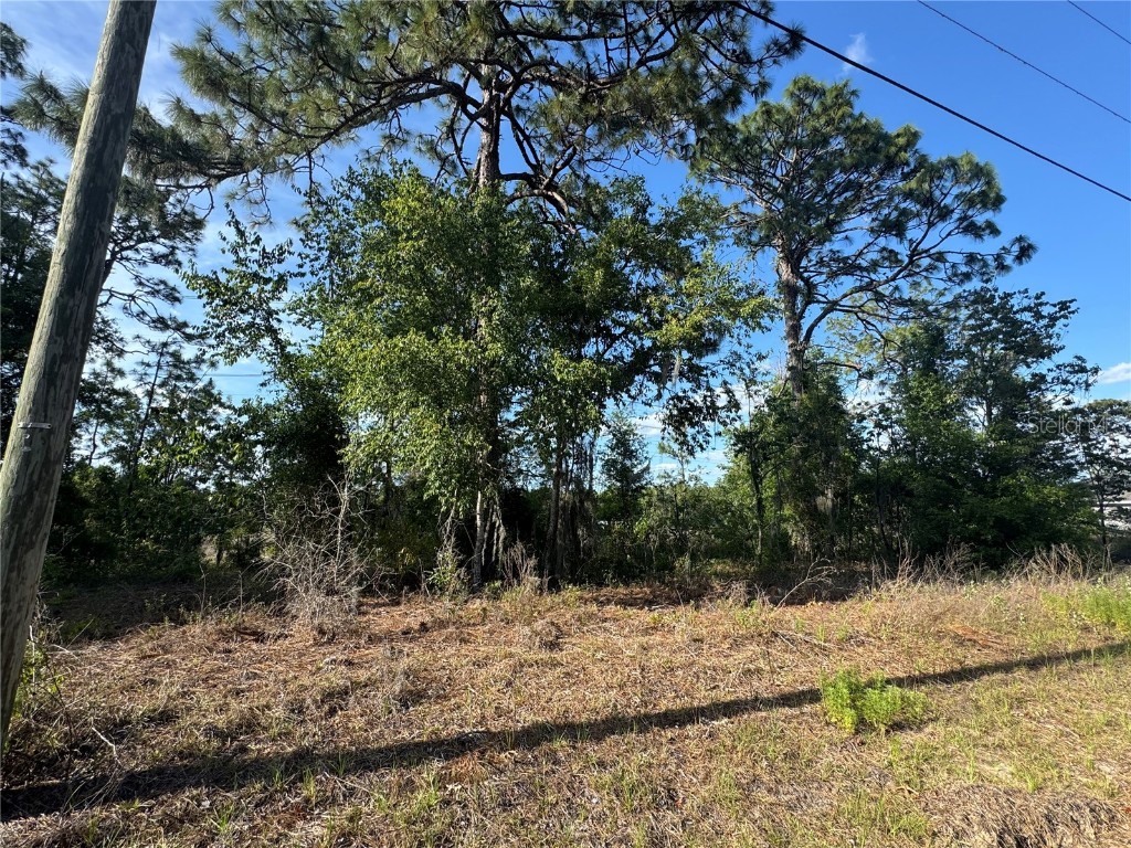 415 W Homeway Loop Citrus Springs FL 34434 OM702934 image1