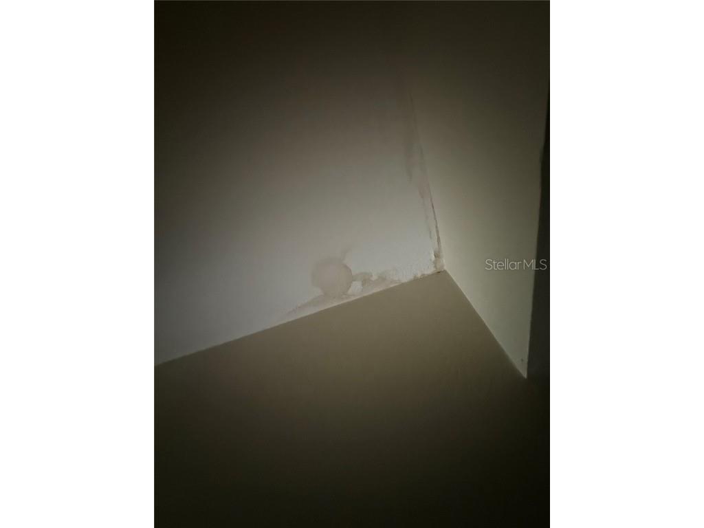 4150 Citrus Street Kissimmee FL 34746 O6257014 image16