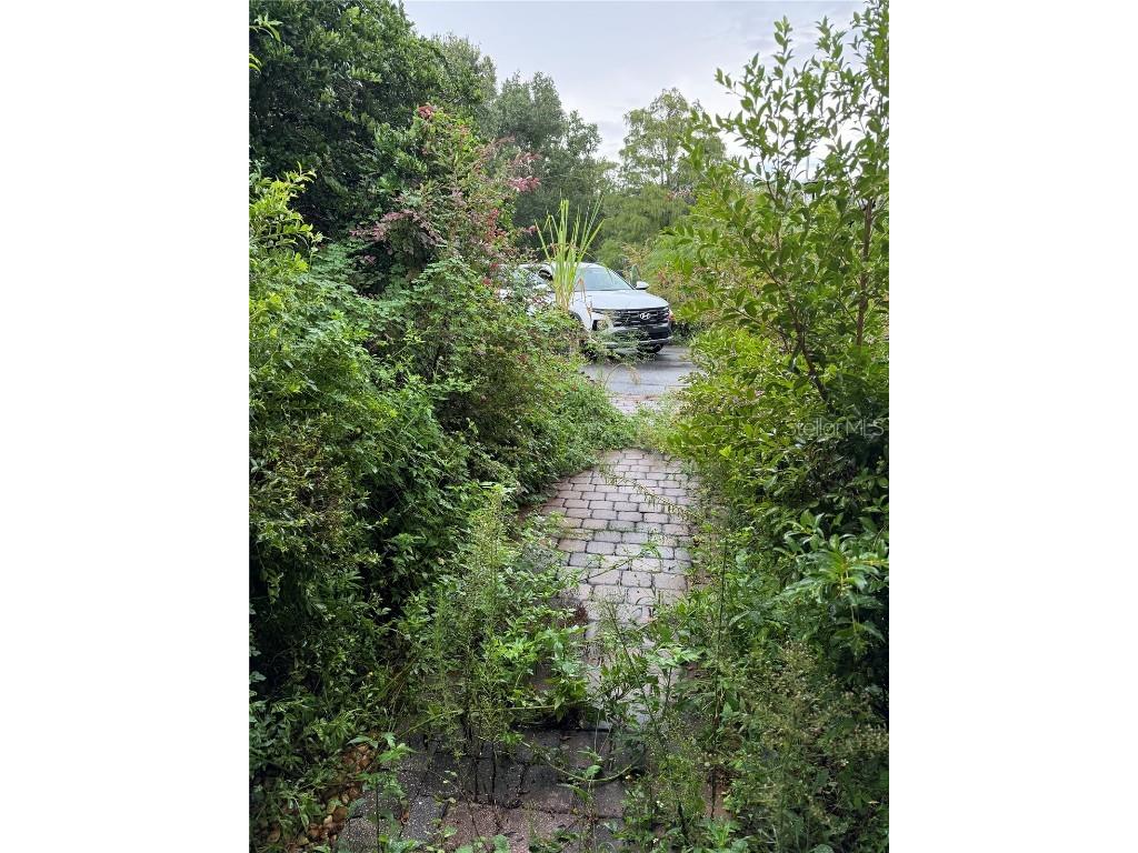 4150 Citrus Street Kissimmee FL 34746 O6257014 image8