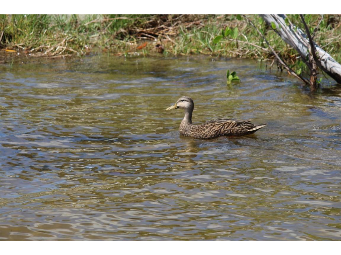 4150 Enclave Place Punta Gorda FL 33980 C7510645 image34