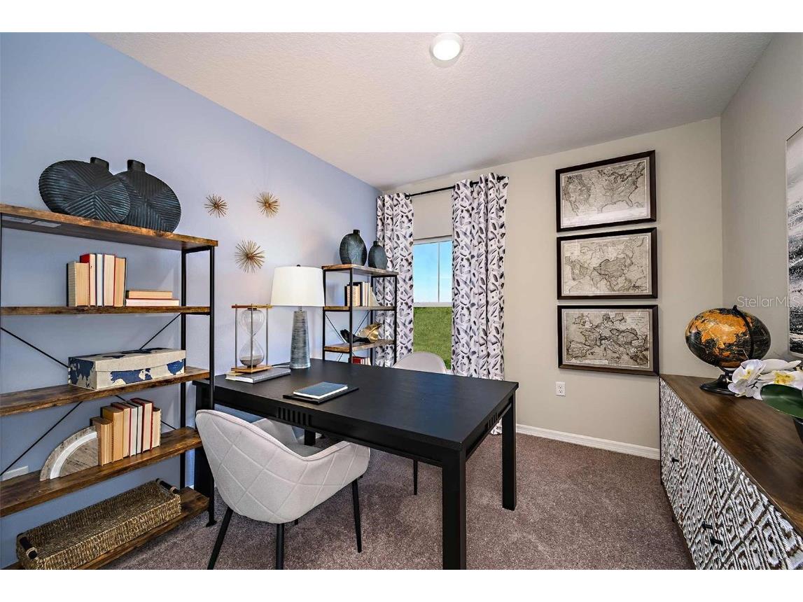 4150 Gerbera Daisy Avenue Lake Hamilton FL 33851 TB8452507 image20