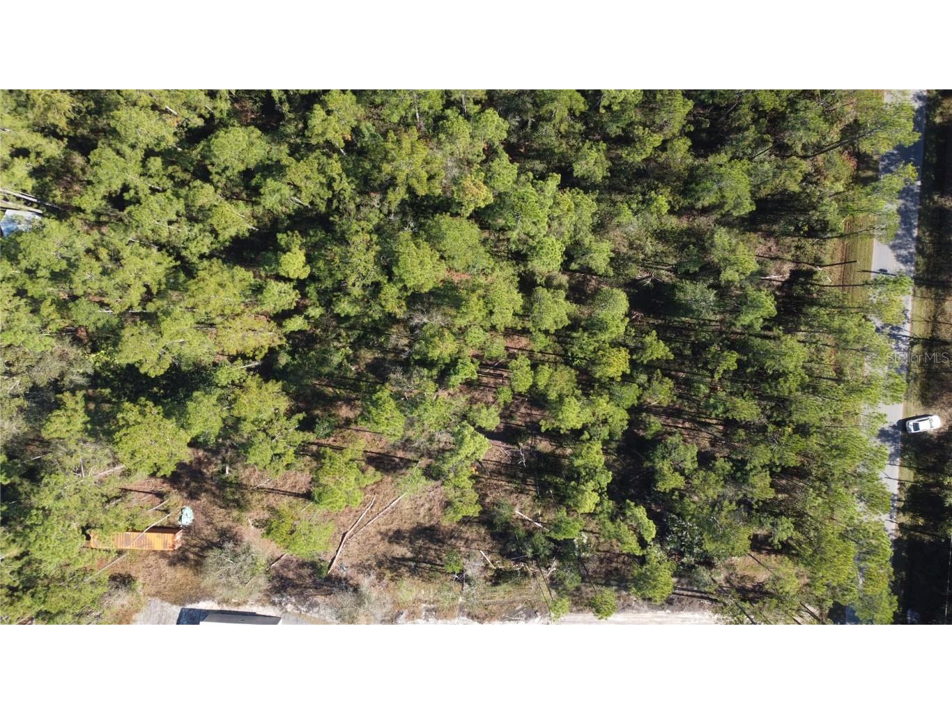 4150 Melanie Street Hastings FL 32145 FC314303 image7