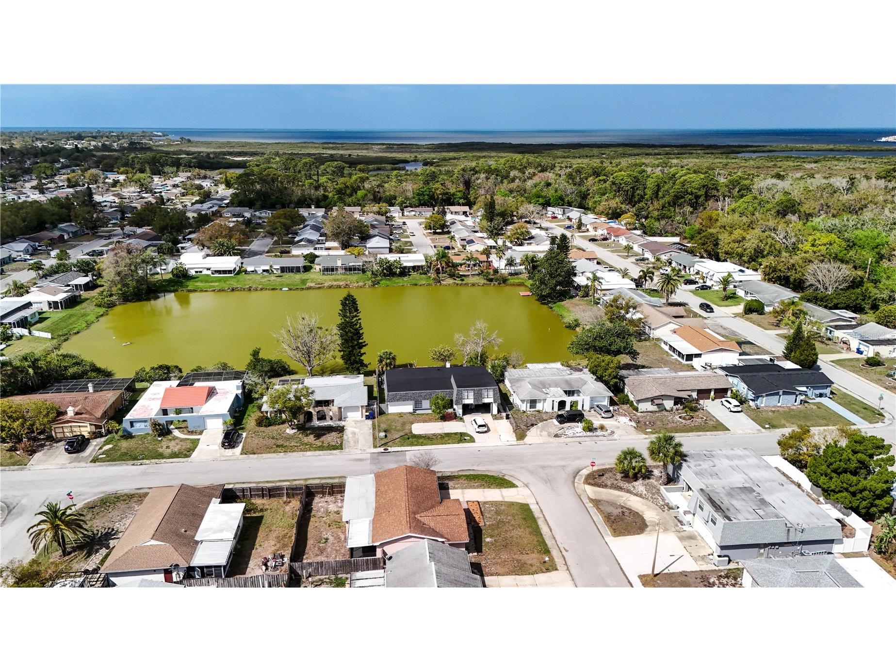 4150 Newbury Drive New Port Richey FL 34652 W7883705 image27