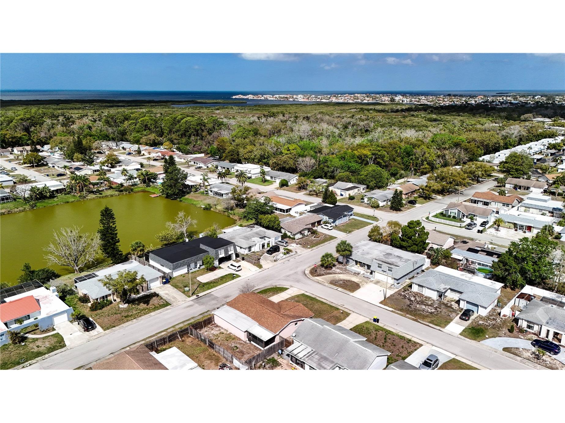 4150 Newbury Drive New Port Richey FL 34652 W7883705 image29