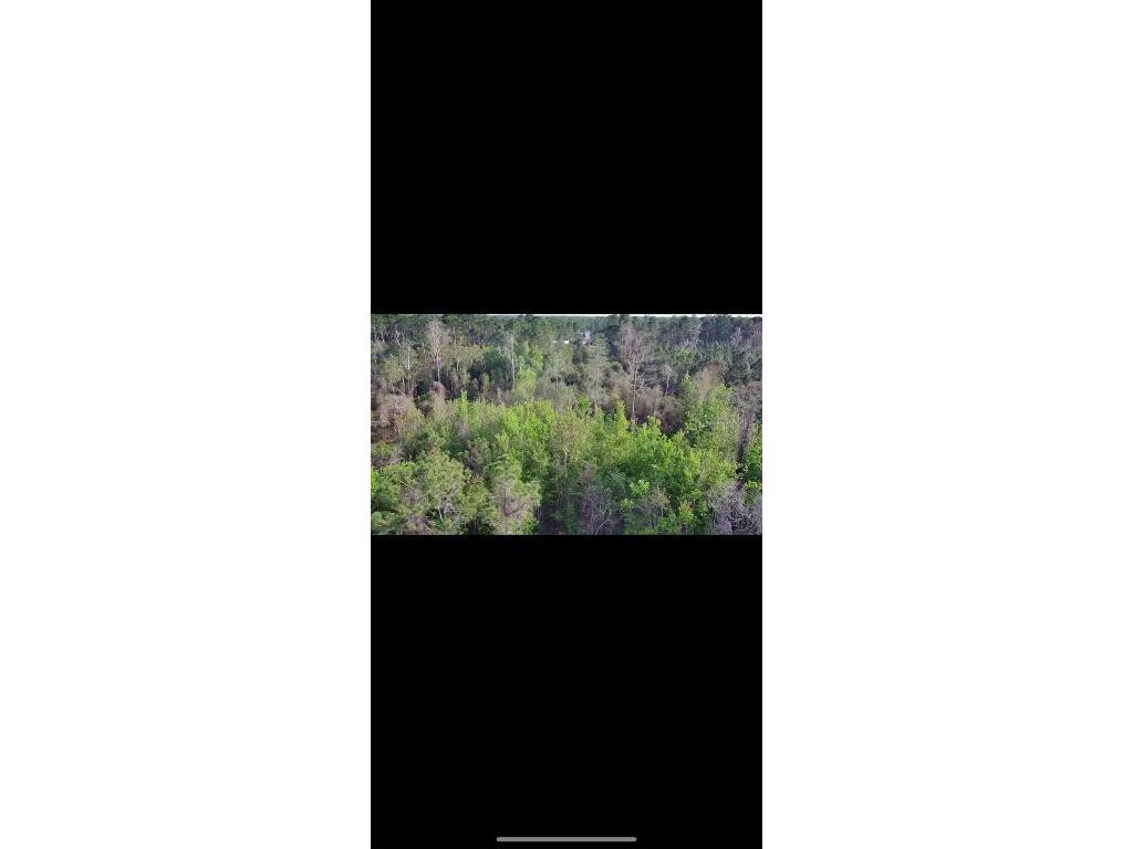 4150 Quail Nest Lane New Smyrna Beach FL 32168 S5127755 image3