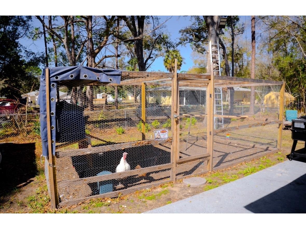 4150 S Apopka Avenue Inverness FL 34452 S5144632 image74