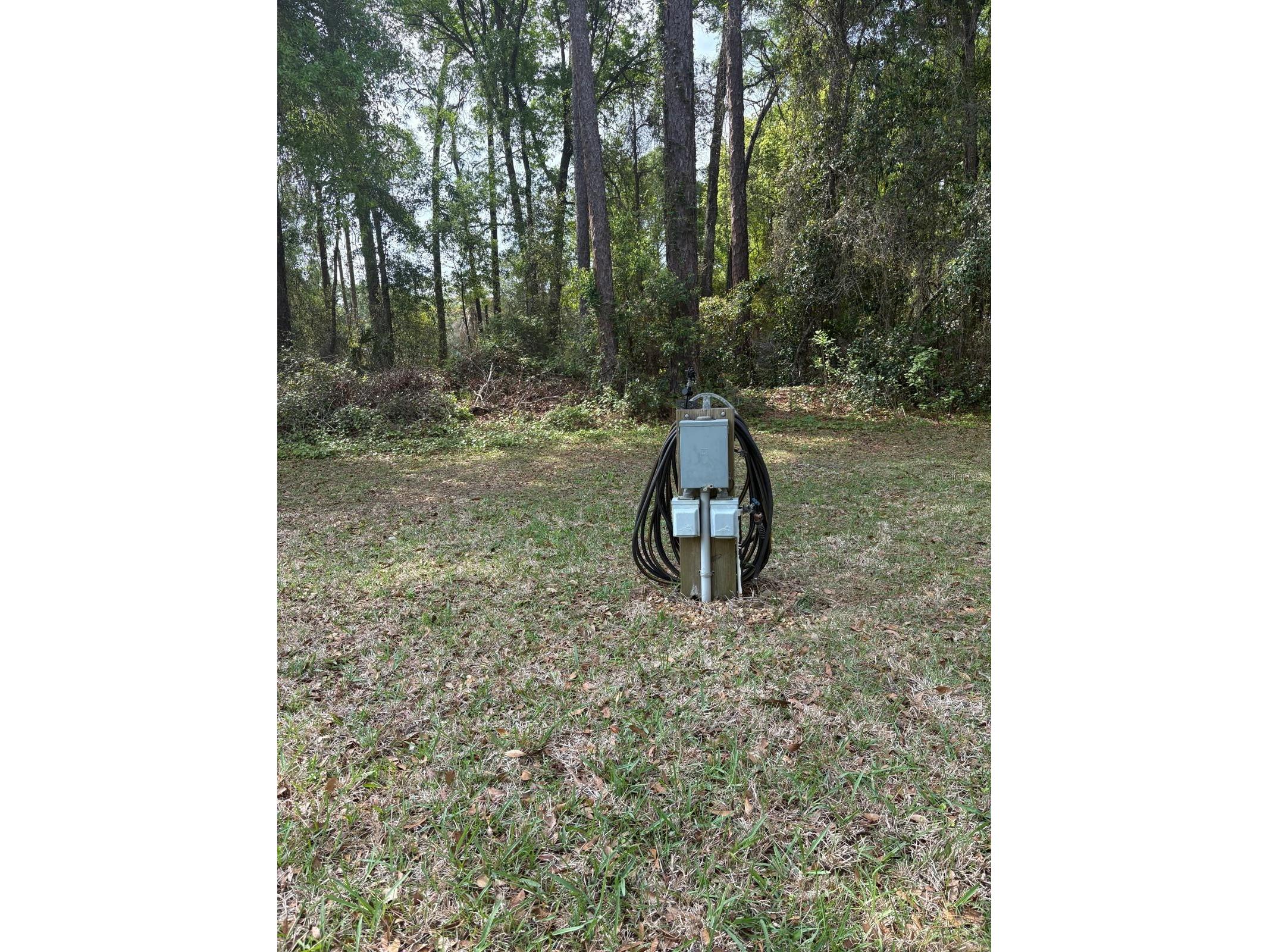 4150 S Apopka Avenue Inverness FL 34452 S5144632 image79