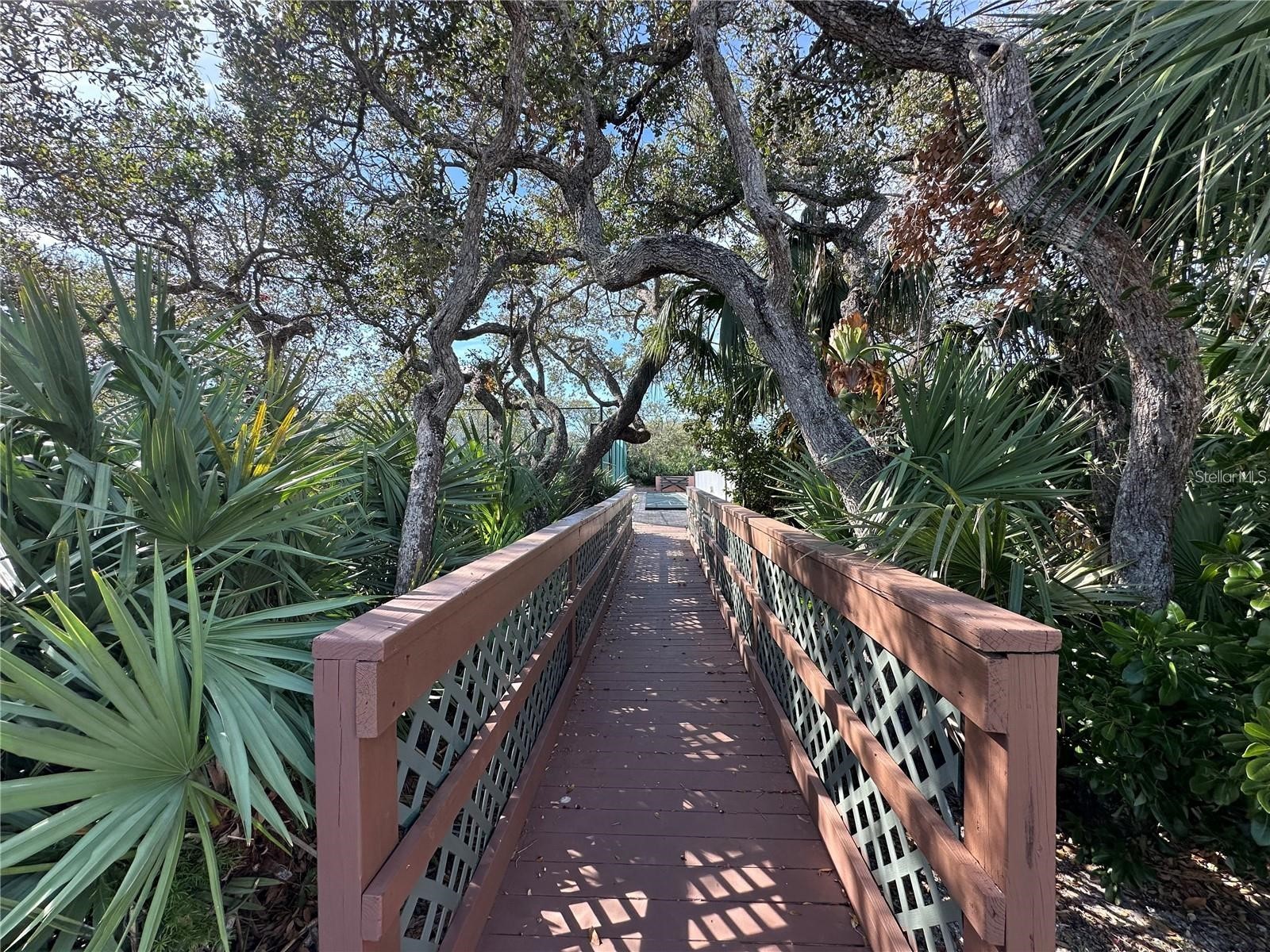4150 S Atlantic Avenue #103A New Smyrna Beach FL 32169 NS1087099 image41