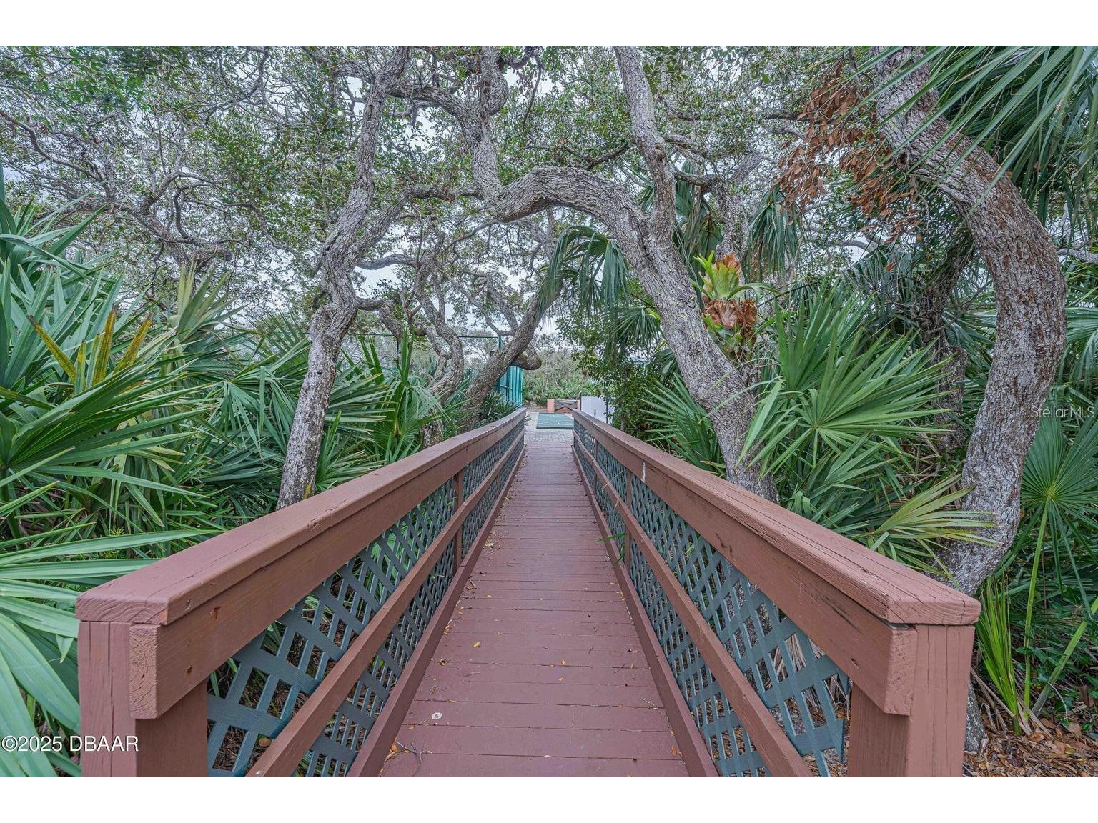 4150 S Atlantic Avenue #113D New Smyrna Beach FL 32169 NS1088131 image44