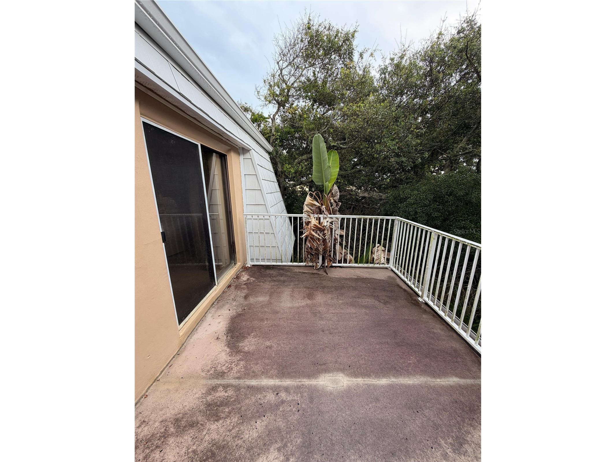 4150 S Atlantic Avenue #126C New Smyrna Beach FL 32169 O6417804 image11
