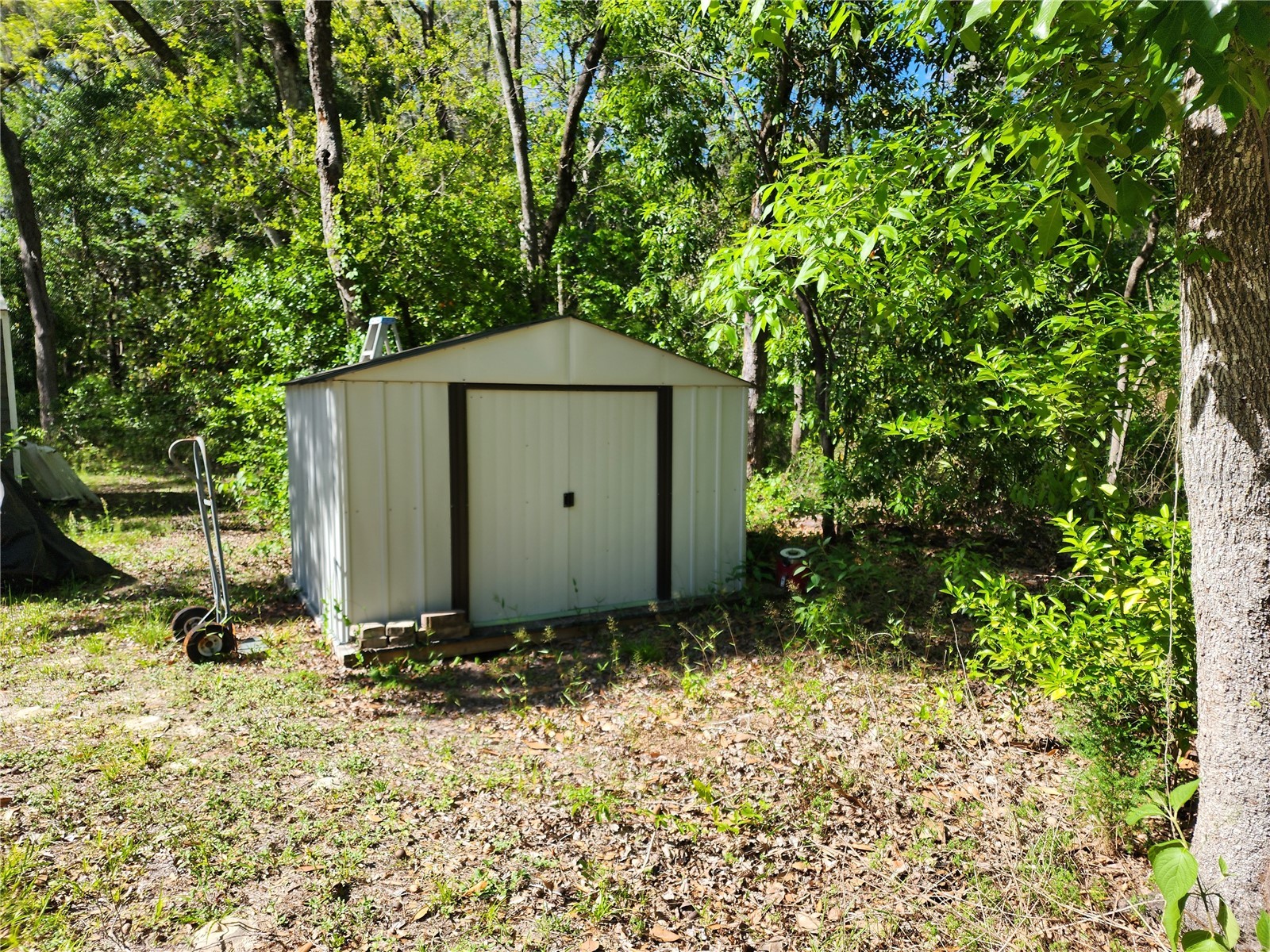 4150 S Spaniel Trail Inverness FL 34450 TB8500190 image18