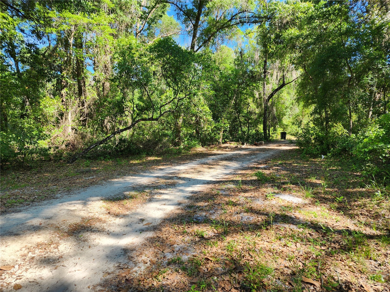 4150 S Spaniel Trail Inverness FL 34450 TB8500190 image21