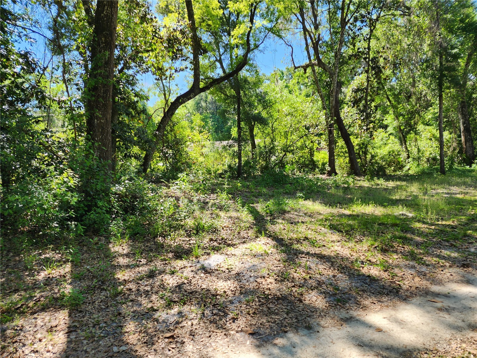 4150 S Spaniel Trail Inverness FL 34450 TB8500190 image22