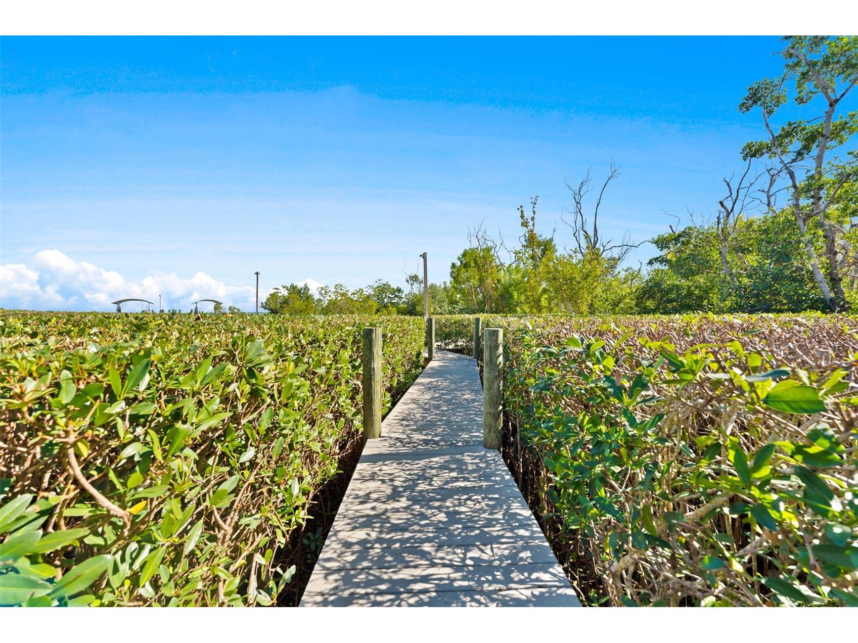 4150 Snail Island Court Boca Grande FL 33921 TB8458432 image72