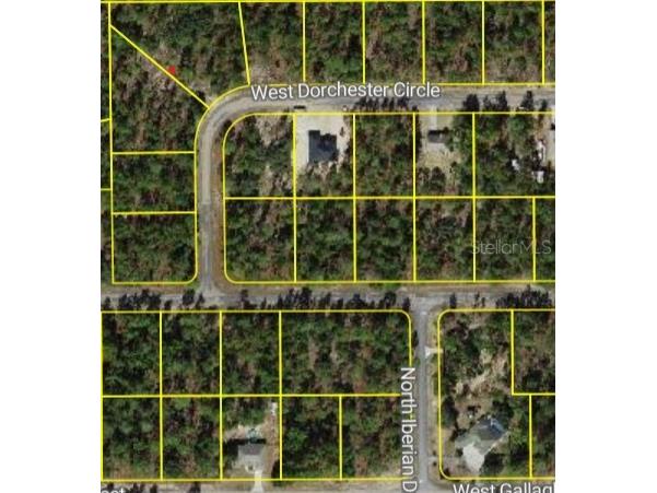 4150 W Dorchester Circle Dunnellon FL 34433 S5132084 image1