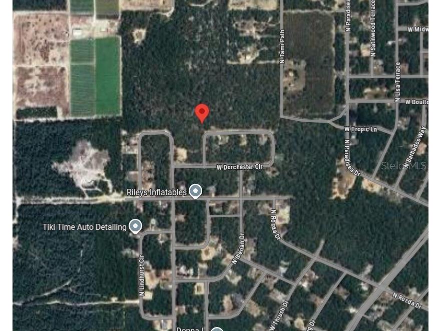 4150 W Dorchester Circle Dunnellon FL 34433 S5132084 image2