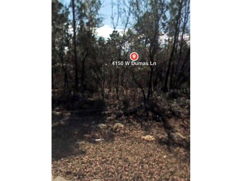 4150 W Dumas Lane Citrus Springs FL 34433 O6085232 image1