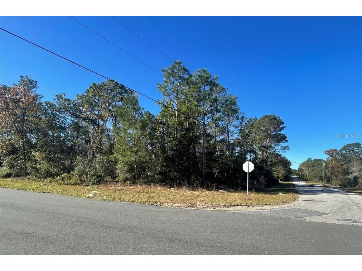 4150 W Dumas Lane Citrus Springs FL 34433 T3492517 image1