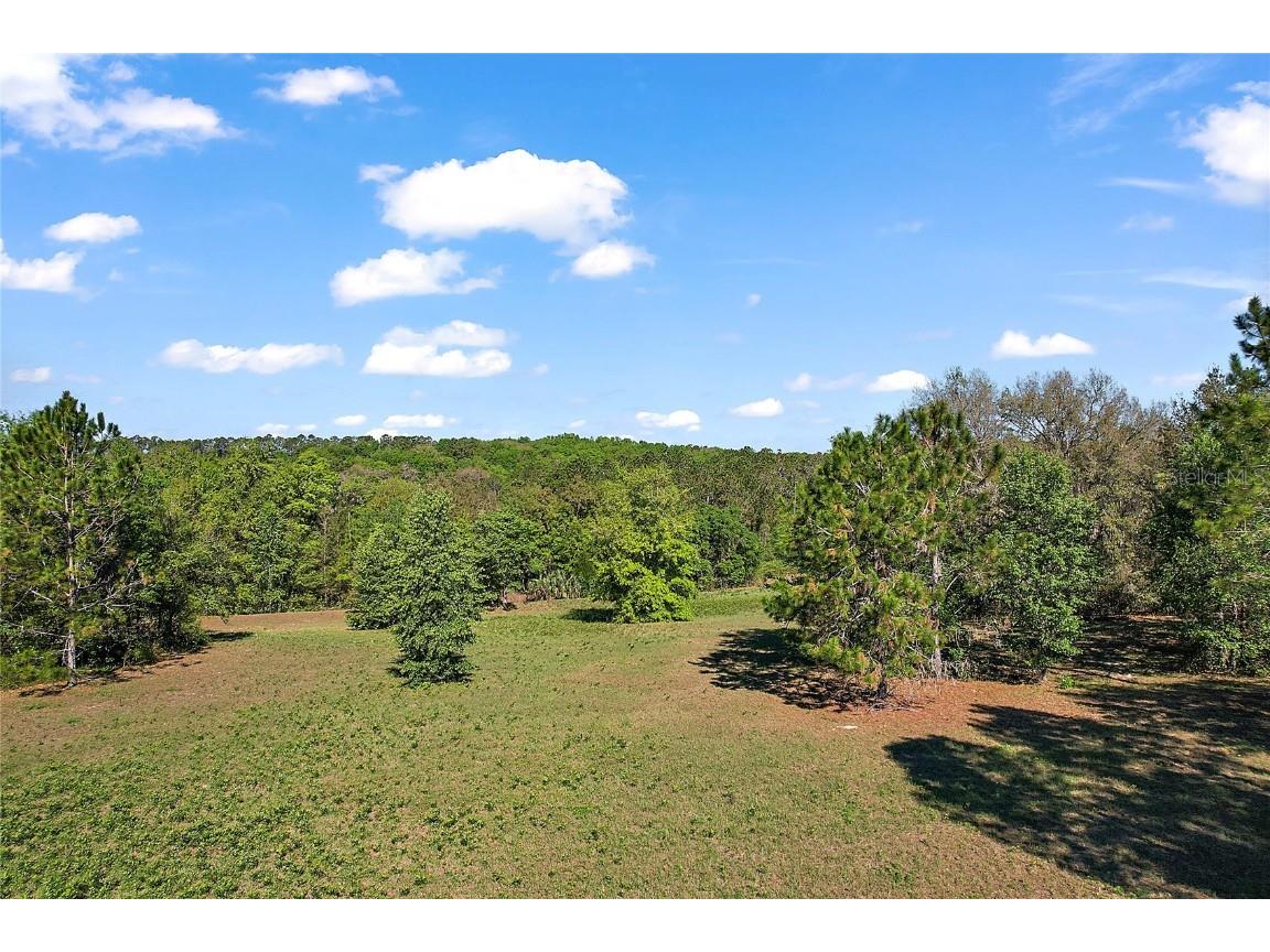 41509 Saddle Ridge Lane Weirsdale FL 32195 G5066946 image1