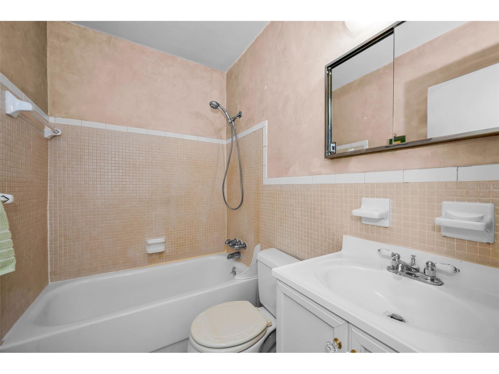 4151 55th Way N #1058 Kenneth City FL 33709 TB8454418 image24