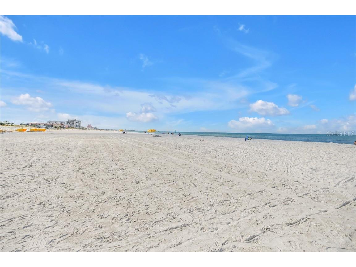 4151 Belle Vista Drive Saint Pete Beach FL 33706 TB8436999 image45