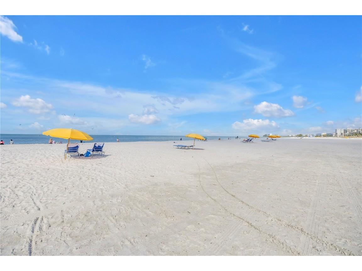 4151 Belle Vista Drive Saint Pete Beach FL 33706 TB8436999 image46
