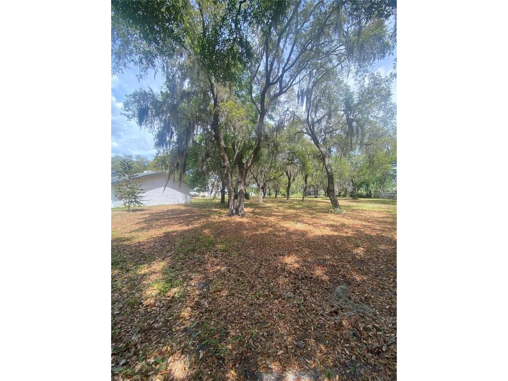 4151 Boggy Creek Road Kissimmee FL 34744 B4901522 image1