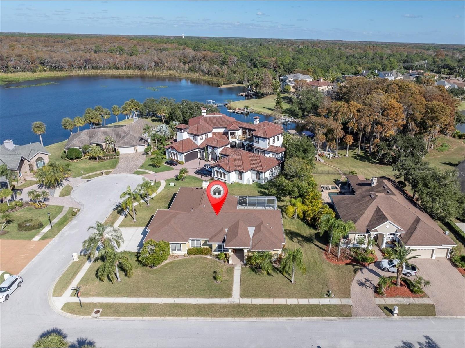 4151 Eagle Watch Boulevard Palm Harbor FL 34685 W7881444 image1
