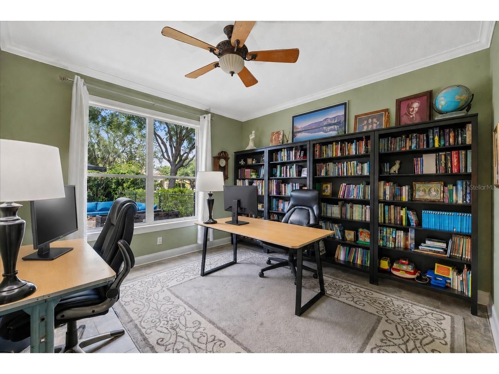 4151 La Salle Drive Palm Harbor FL 34685 TB8518164 image20