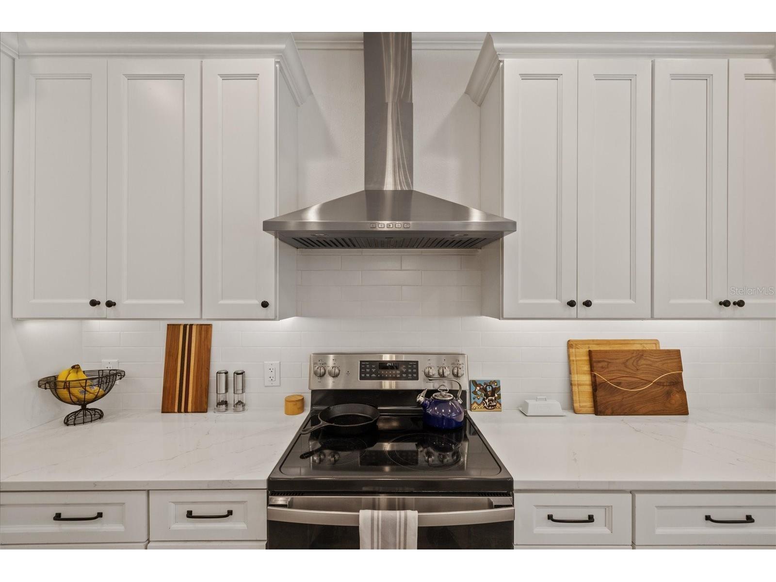 4151 La Salle Drive Palm Harbor FL 34685 TB8518164 image24
