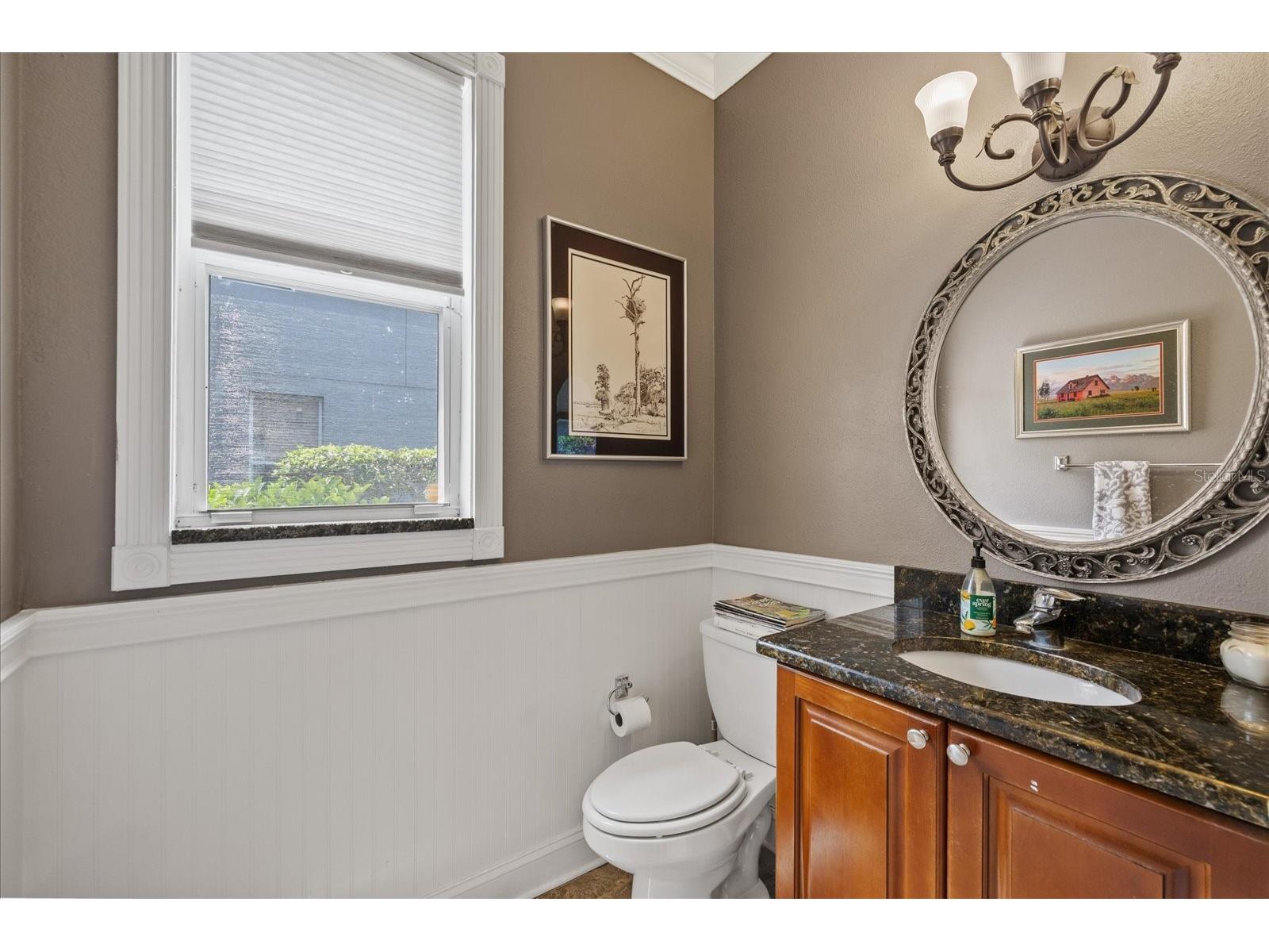 4151 La Salle Drive Palm Harbor FL 34685 TB8518164 image31