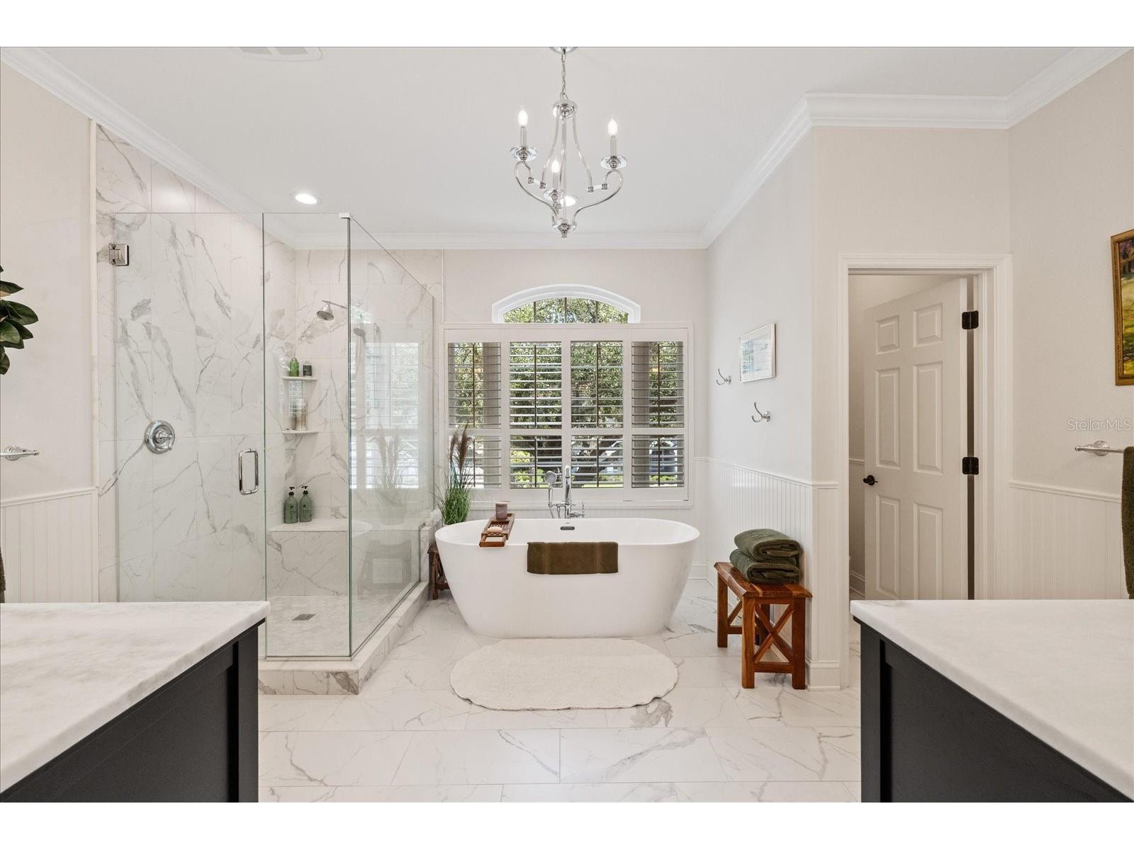4151 La Salle Drive Palm Harbor FL 34685 TB8518164 image4