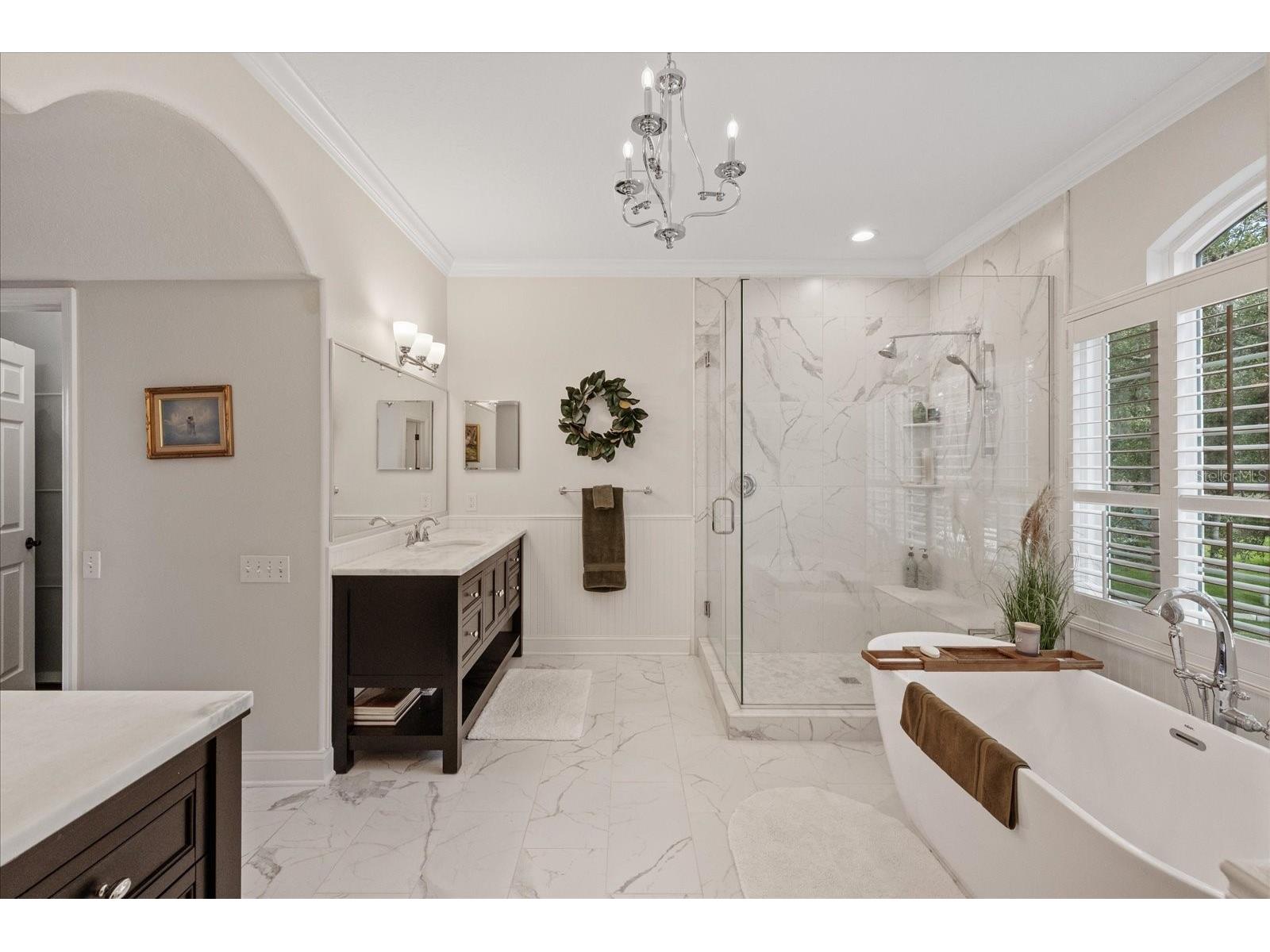 4151 La Salle Drive Palm Harbor FL 34685 TB8518164 image42