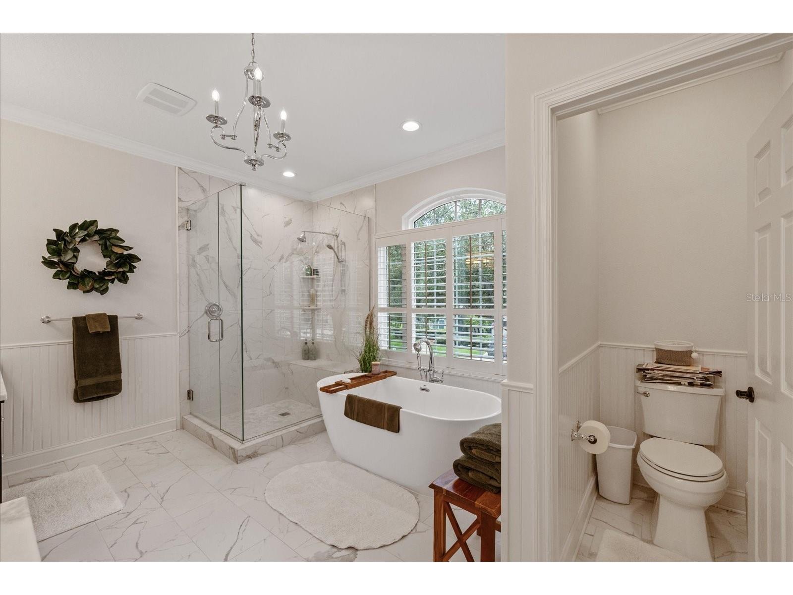 4151 La Salle Drive Palm Harbor FL 34685 TB8518164 image43