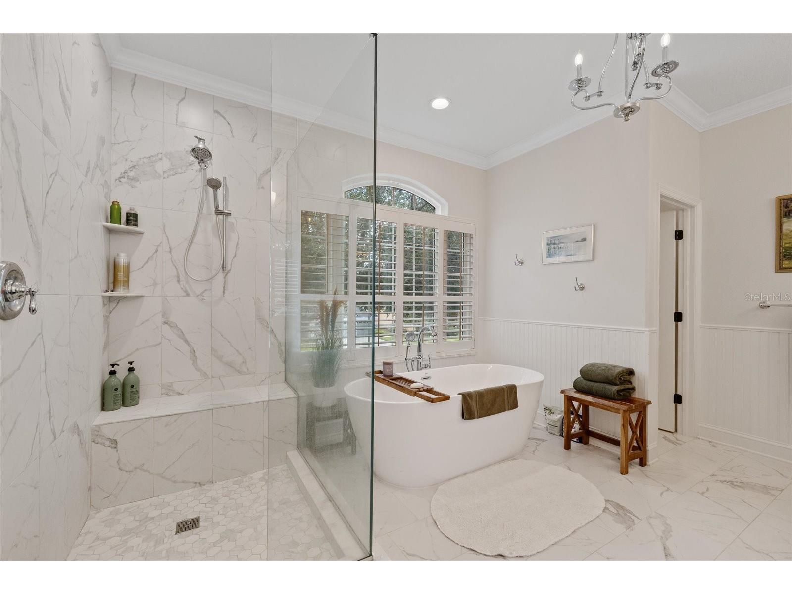4151 La Salle Drive Palm Harbor FL 34685 TB8518164 image44