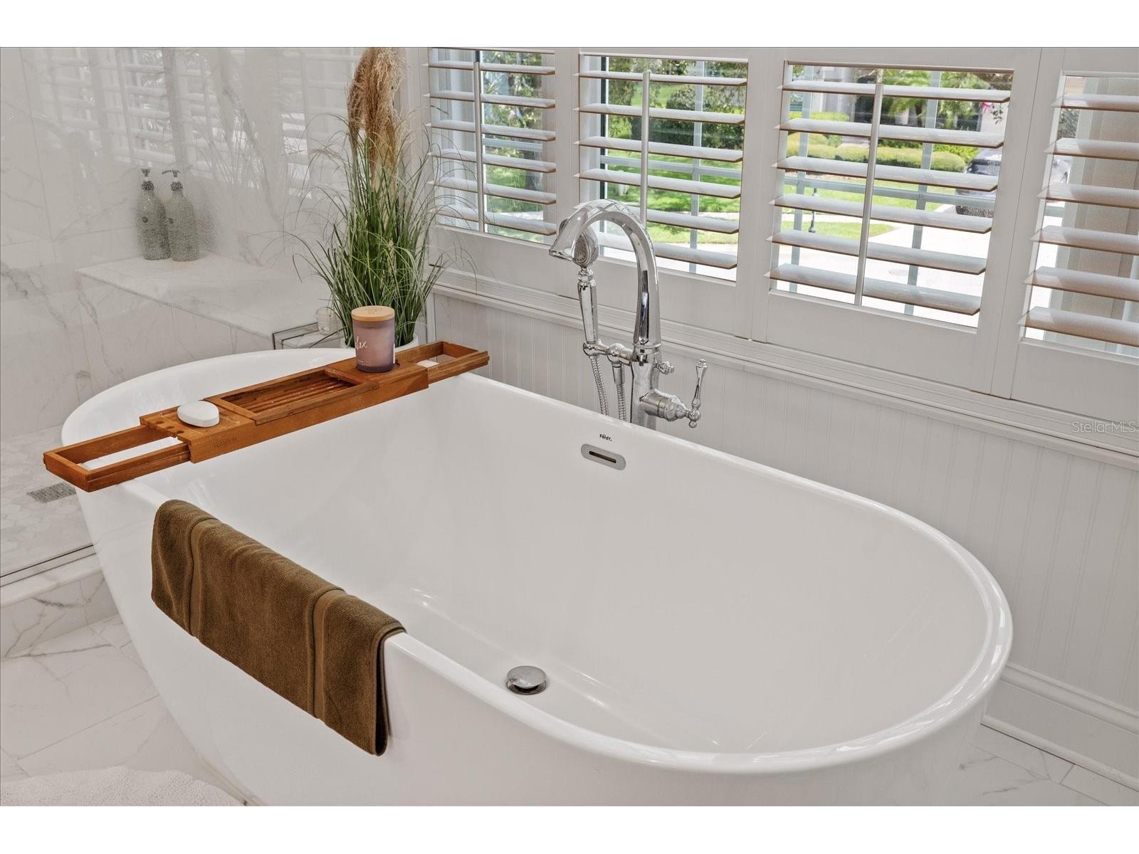 4151 La Salle Drive Palm Harbor FL 34685 TB8518164 image45