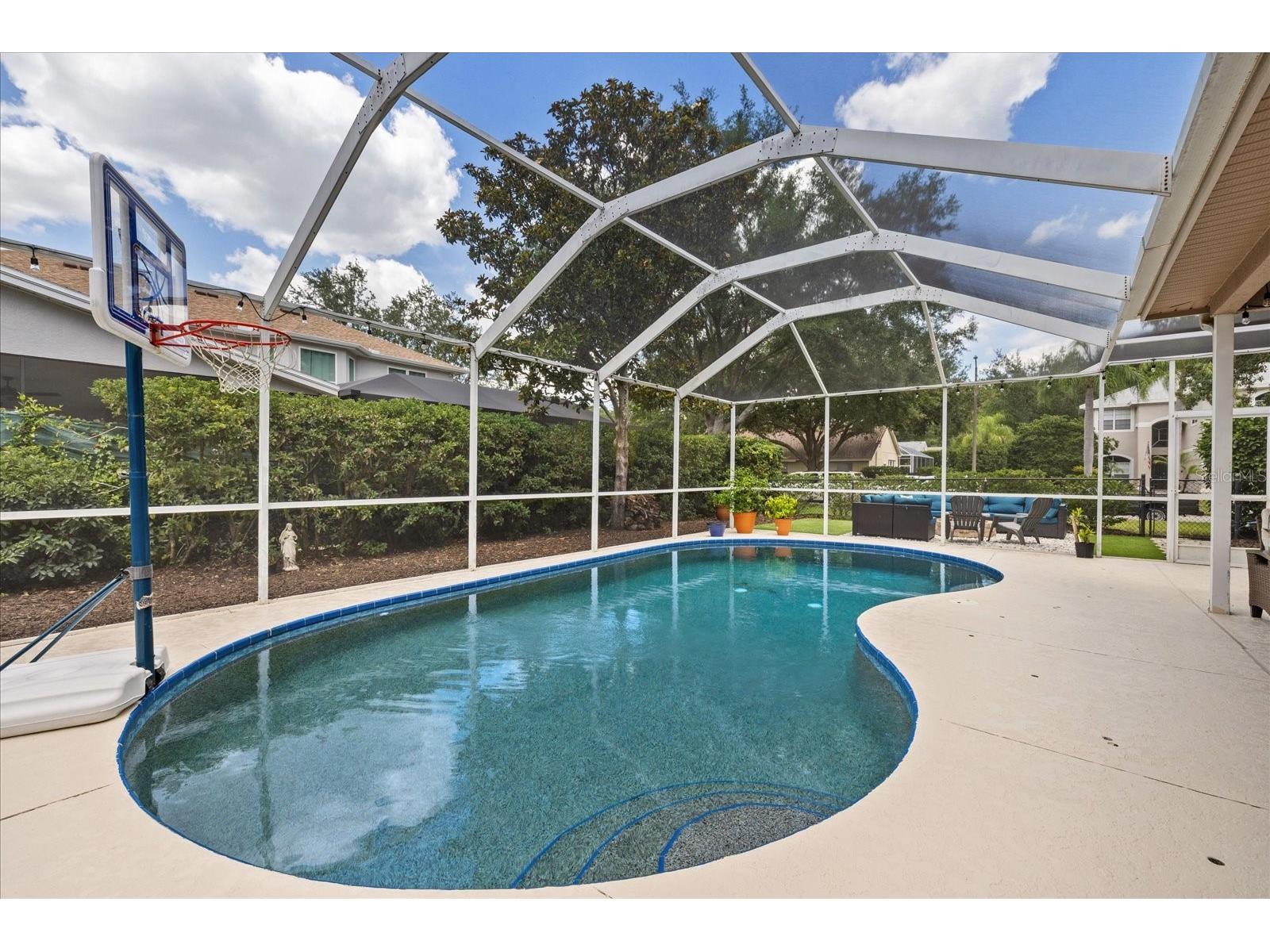 4151 La Salle Drive Palm Harbor FL 34685 TB8518164 image54