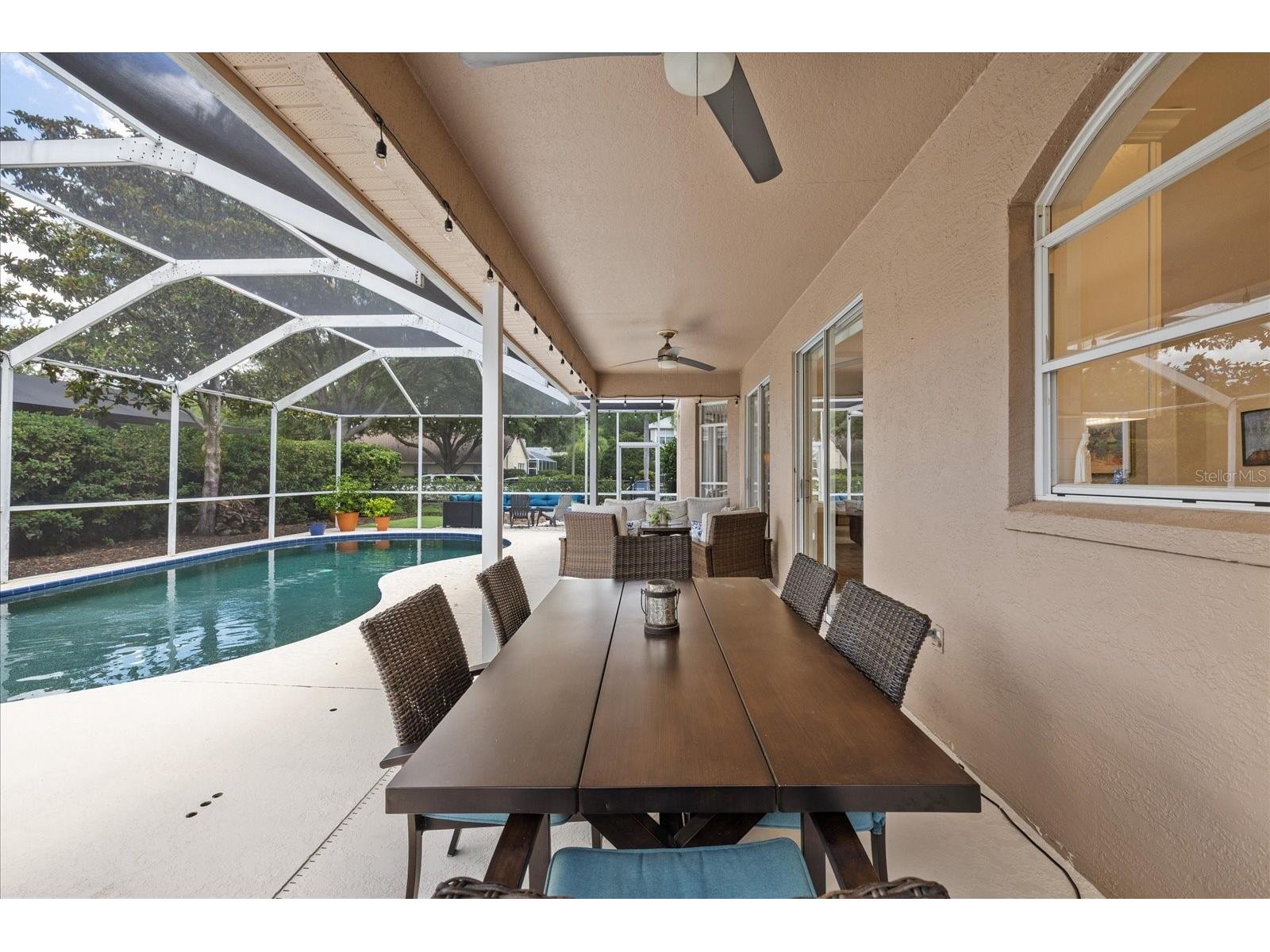 4151 La Salle Drive Palm Harbor FL 34685 TB8518164 image56