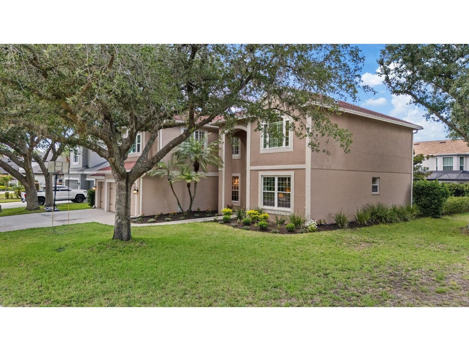 4151 La Salle Drive Palm Harbor FL 34685 TB8518164 image57