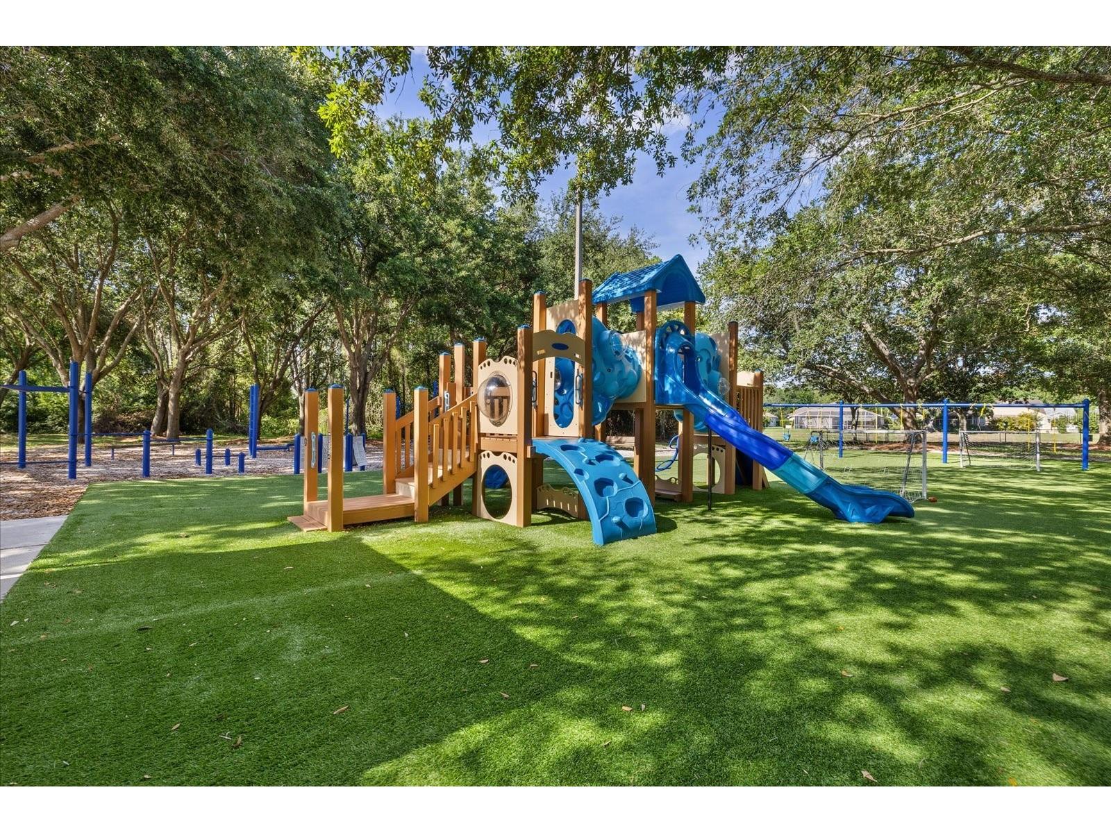 4151 La Salle Drive Palm Harbor FL 34685 TB8518164 image58