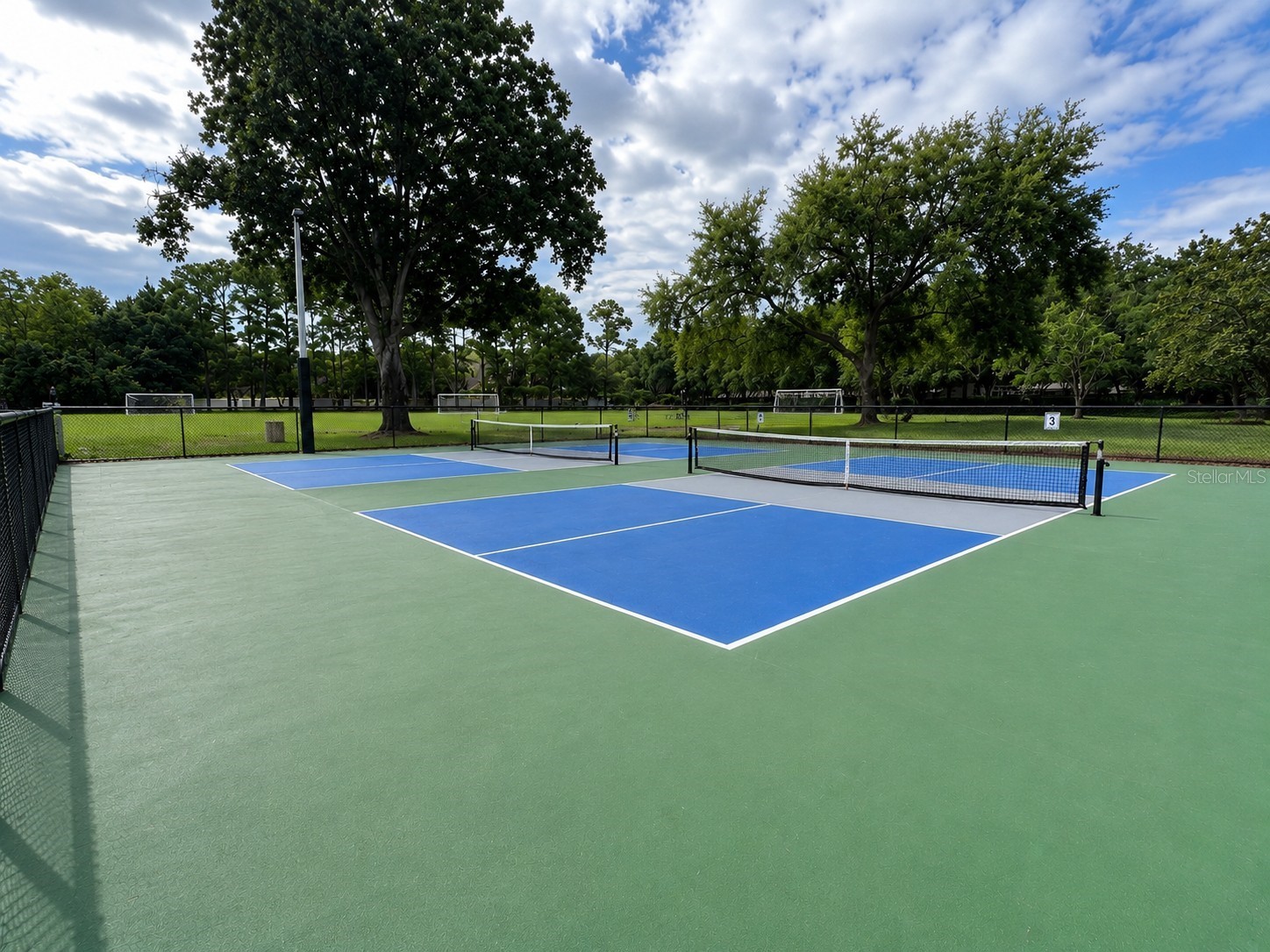 4151 La Salle Drive Palm Harbor FL 34685 TB8518164 image60
