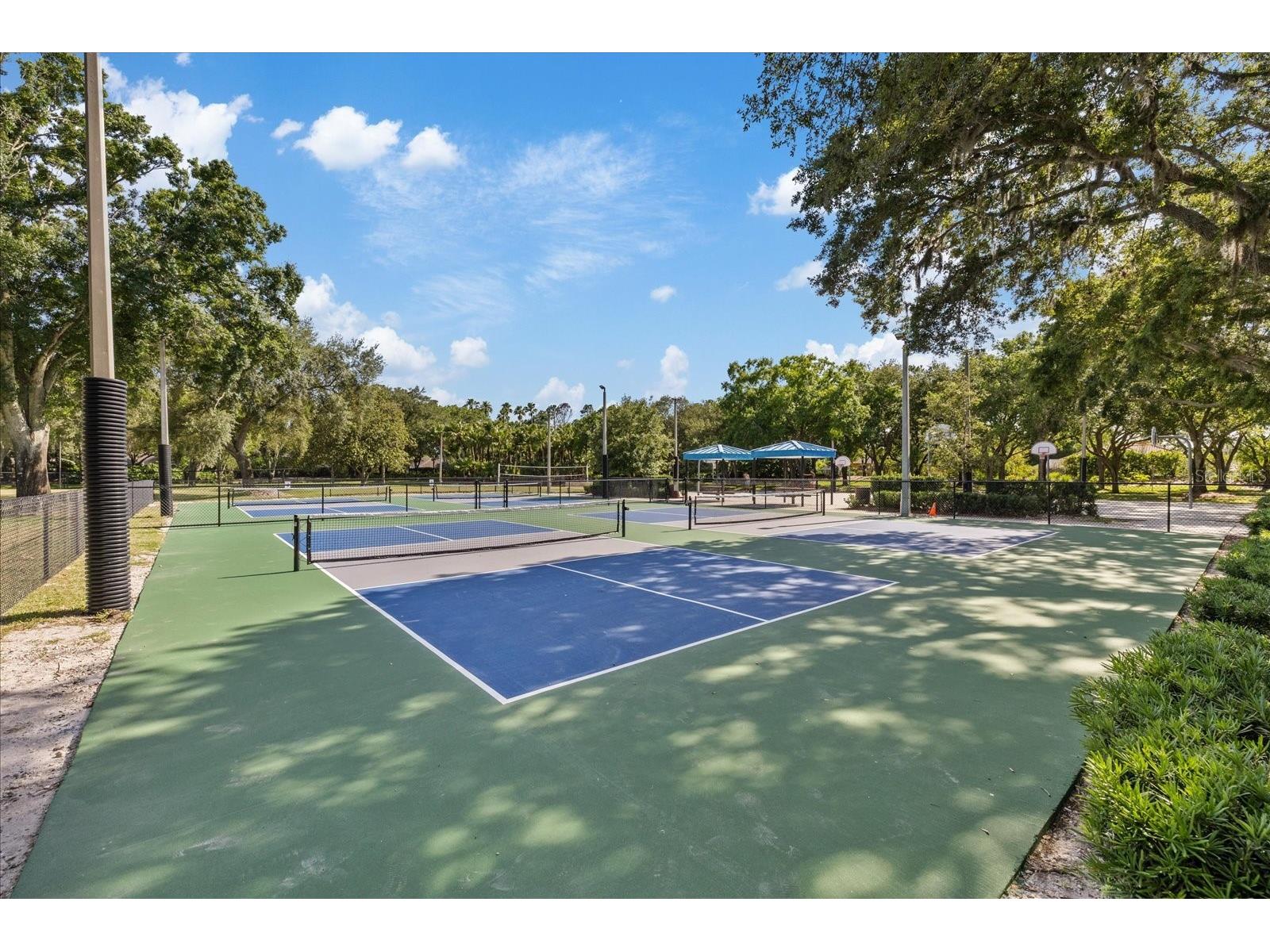 4151 La Salle Drive Palm Harbor FL 34685 TB8518164 image61