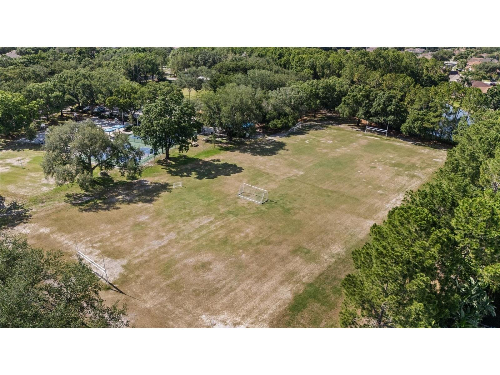 4151 La Salle Drive Palm Harbor FL 34685 TB8518164 image62