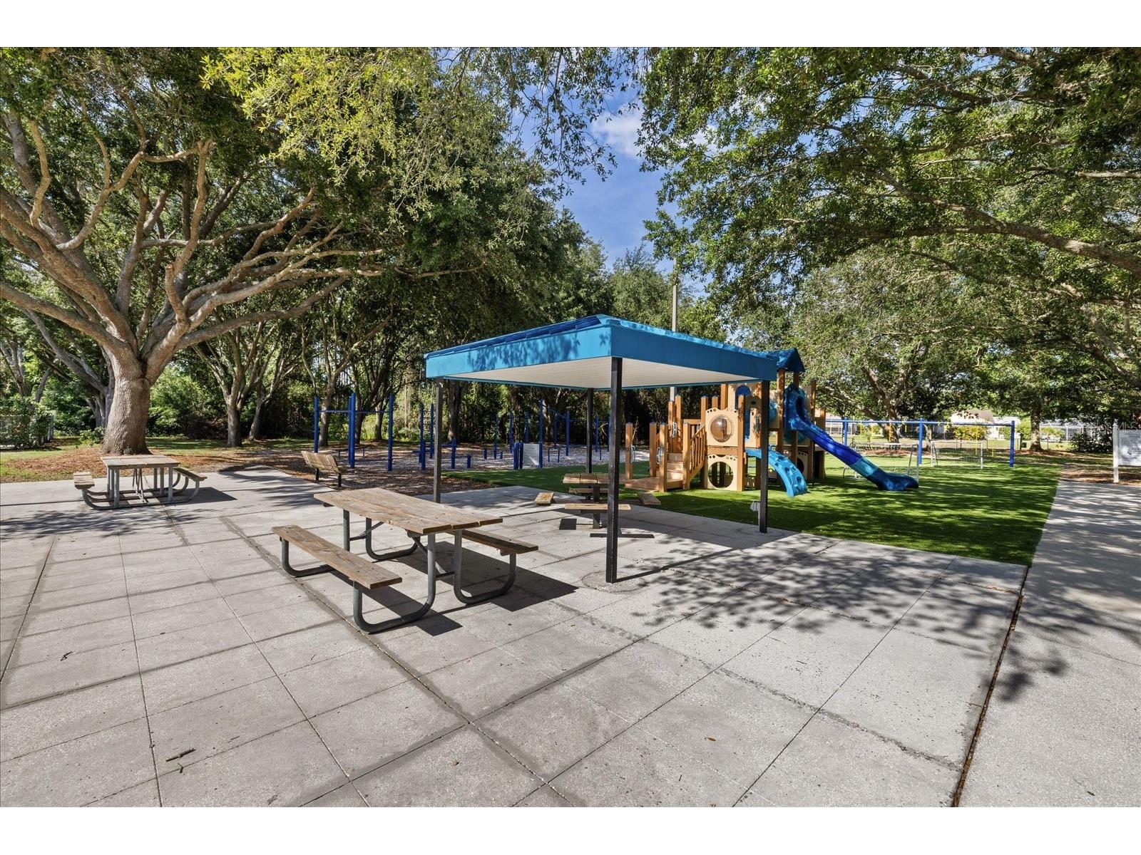 4151 La Salle Drive Palm Harbor FL 34685 TB8518164 image63