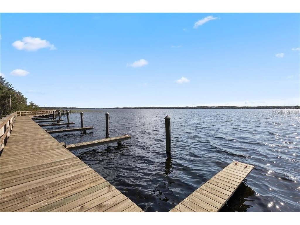 4151 La Salle Drive Palm Harbor FL 34685 TB8518164 image66