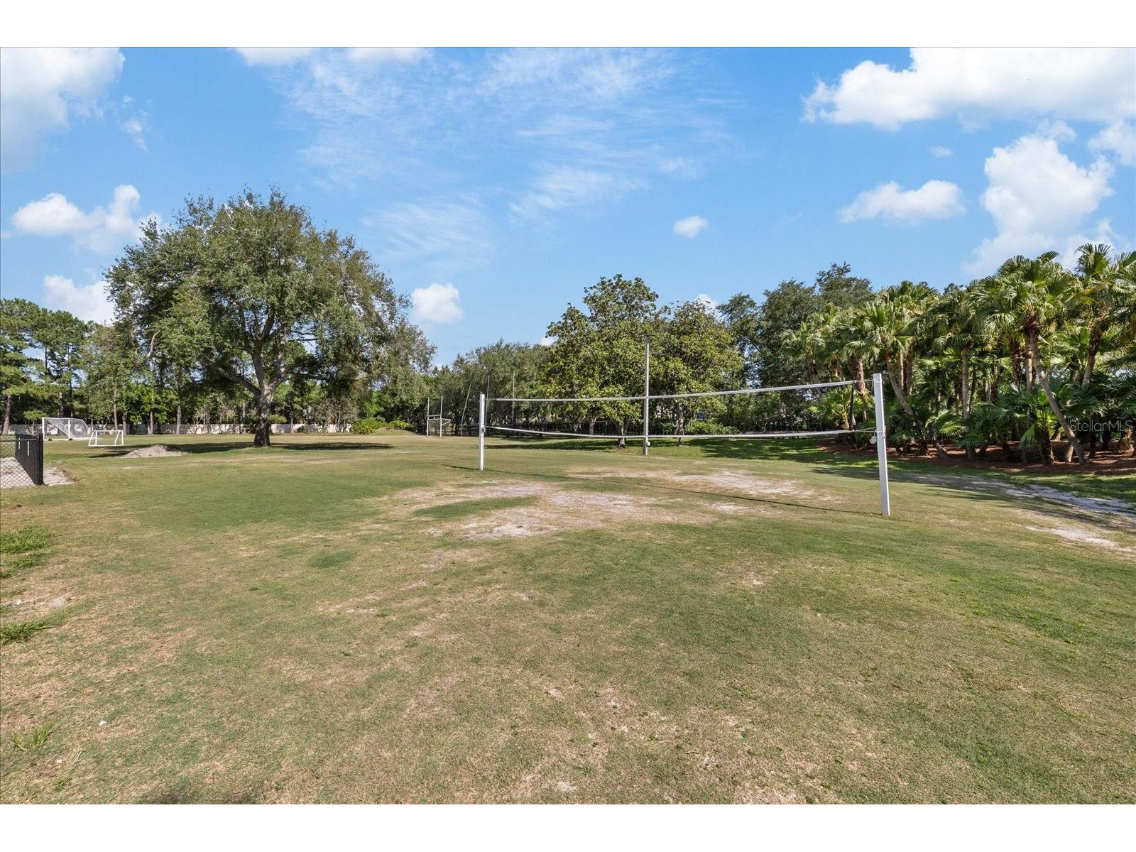 4151 La Salle Drive Palm Harbor FL 34685 TB8518164 image67