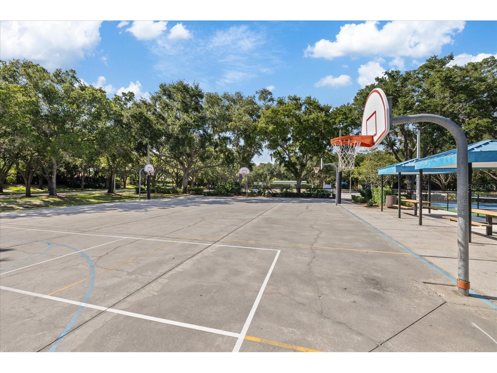 4151 La Salle Drive Palm Harbor FL 34685 TB8518164 image68
