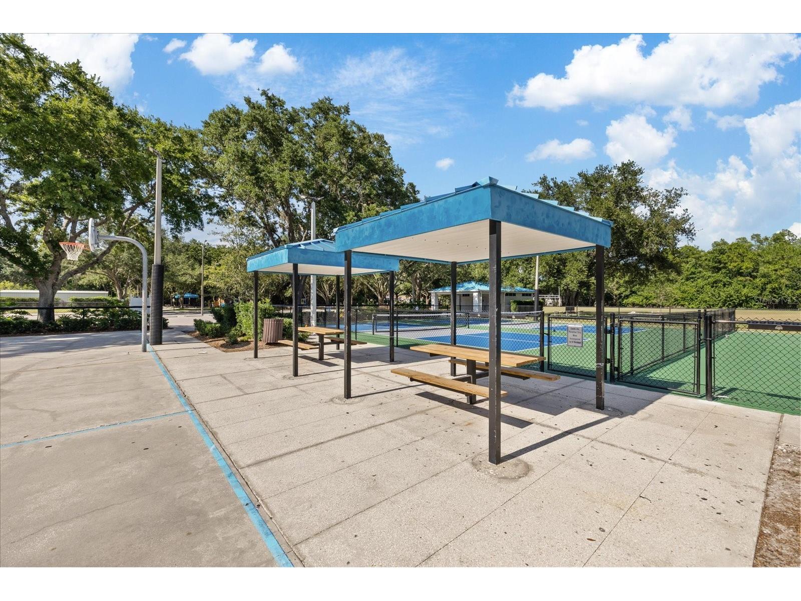 4151 La Salle Drive Palm Harbor FL 34685 TB8518164 image69