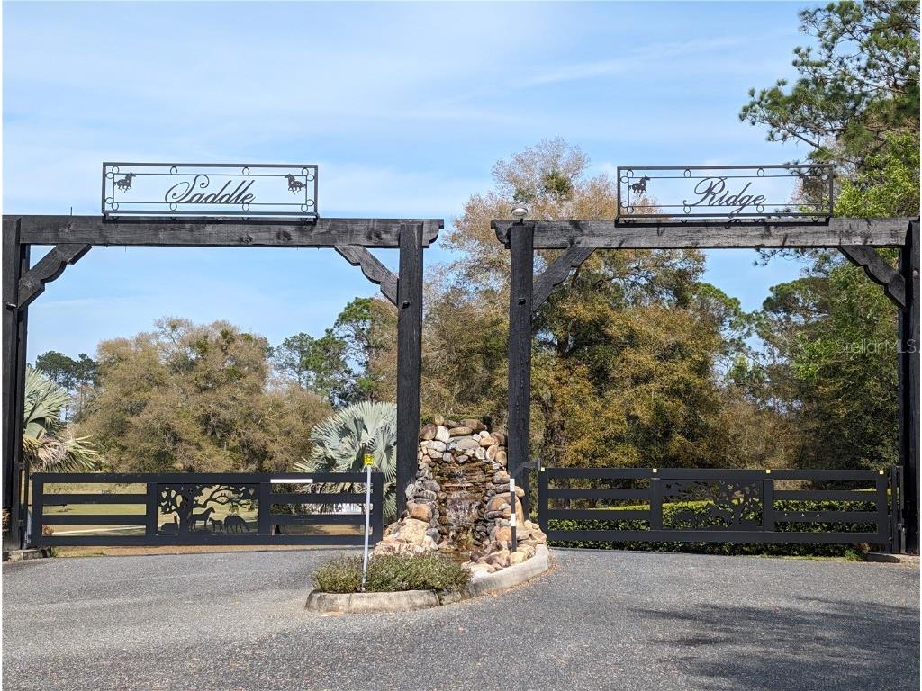 41513 Saddle Ridge Lane Weirsdale FL 32195 G5075147 image1